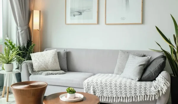 Interior Designer